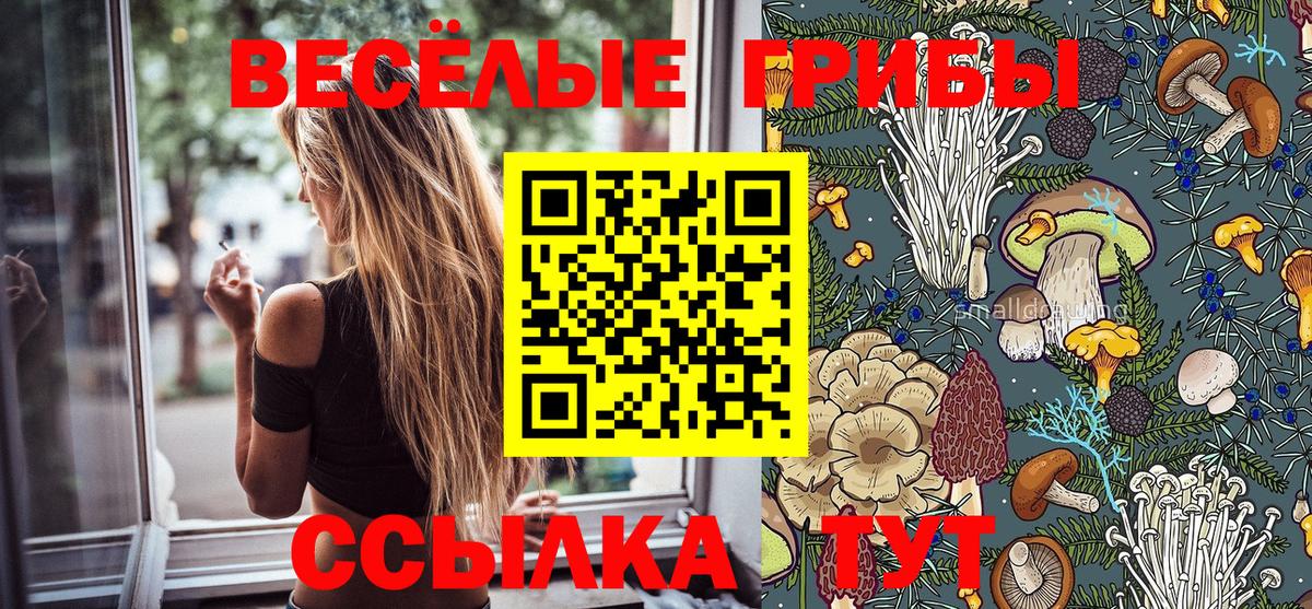 Псилоцибиновые грибы Psilocybine cubensis Тавда
