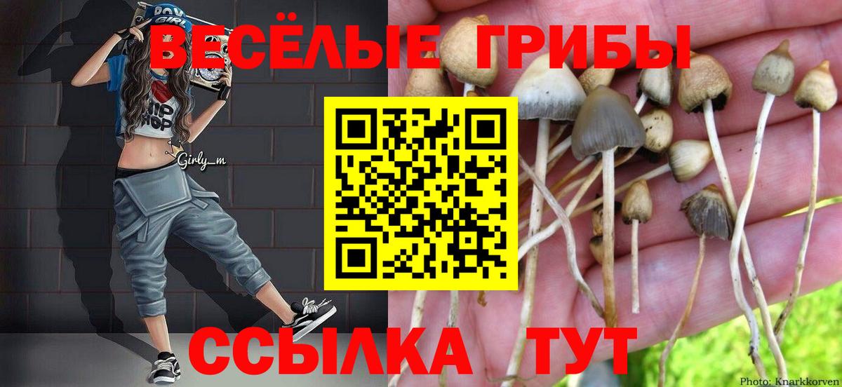 Галлюциногенные грибы ЛСД  Вход с VPN  Тавда 